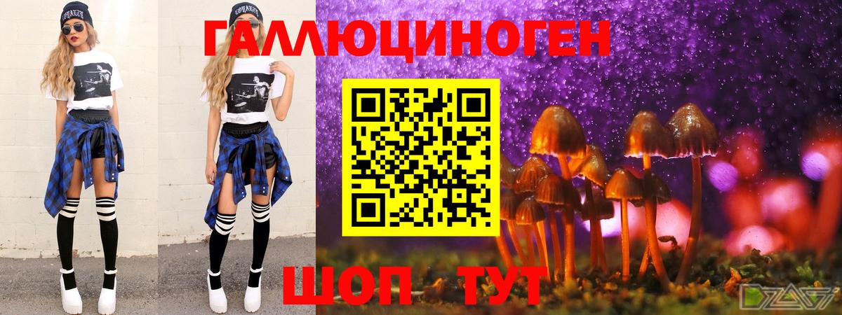 Галлюциногенные грибы Magic Shrooms  Вход с VPN  Курчалой 