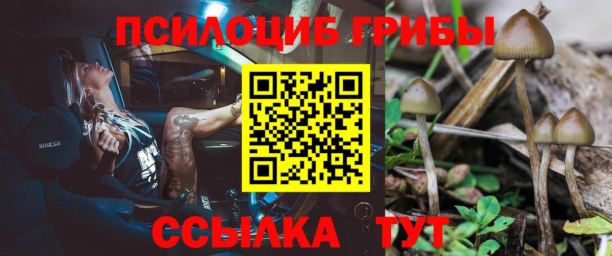 Галлюциногенные грибы прущие грибы Курчалой